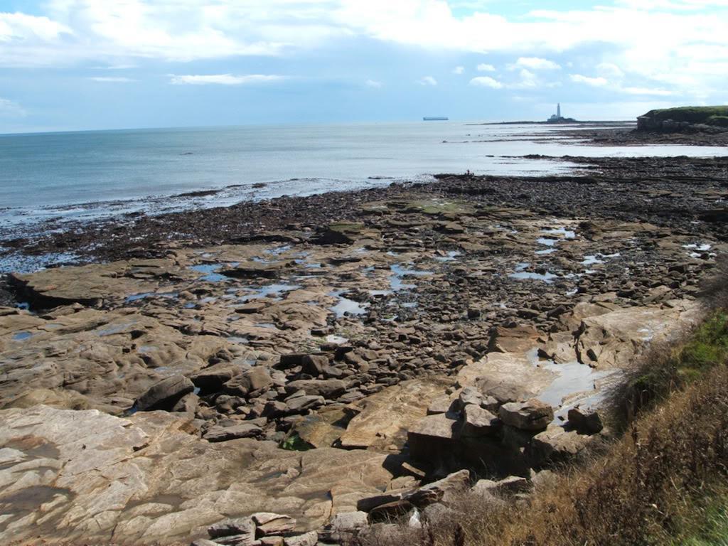 Lighthouse Guest House Whitley Bay Exteriör bild